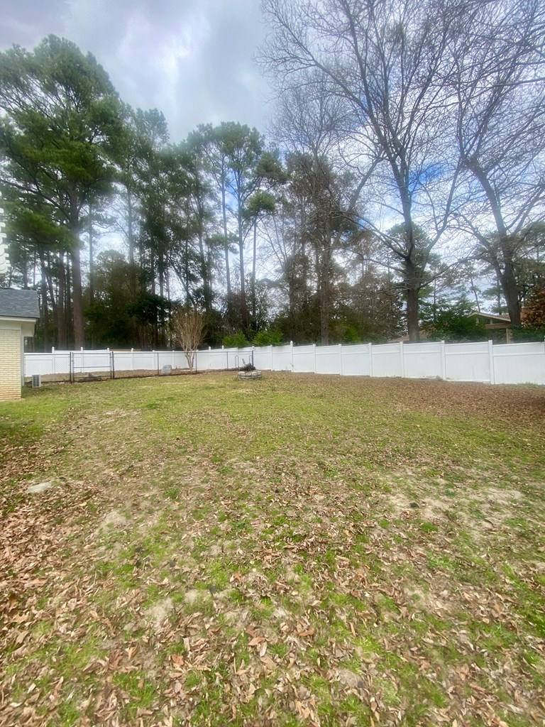 Left-side View of Backyard