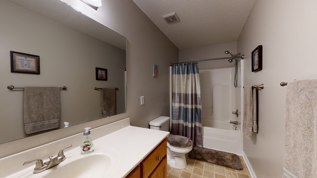 Hall / Guest Bath In