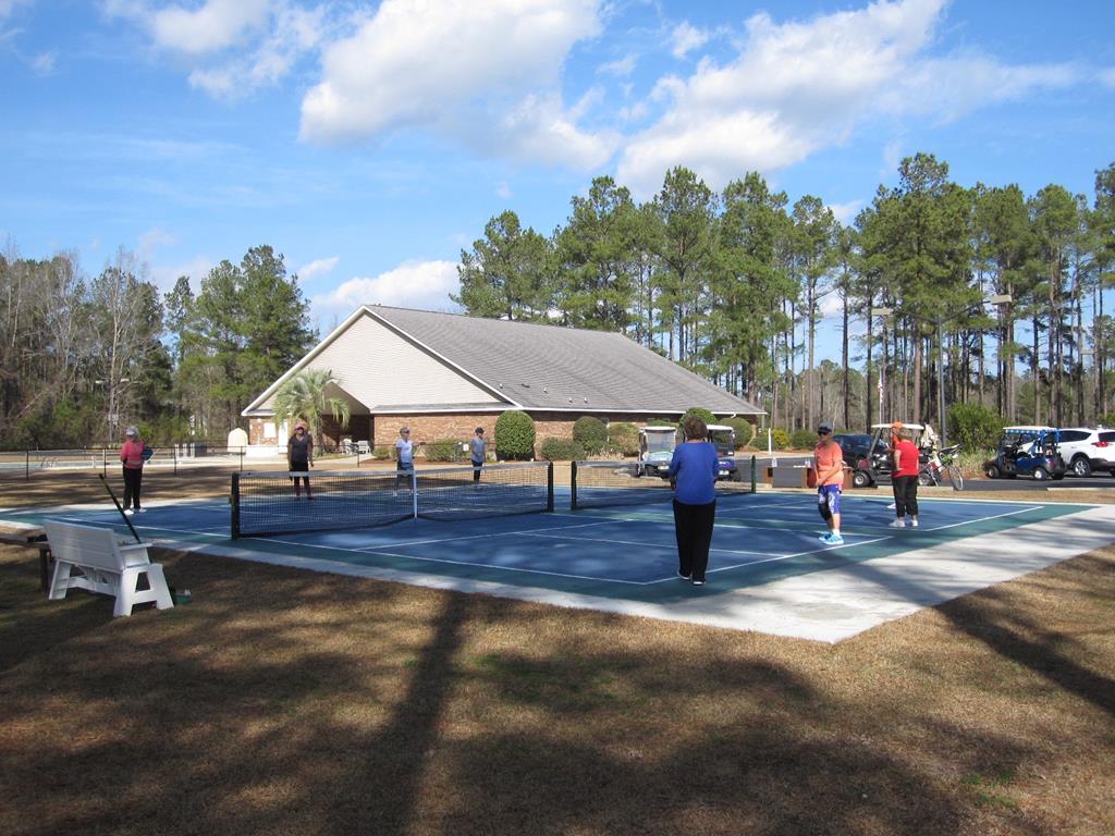 COMMUNITY PICKLE BALL COURTS